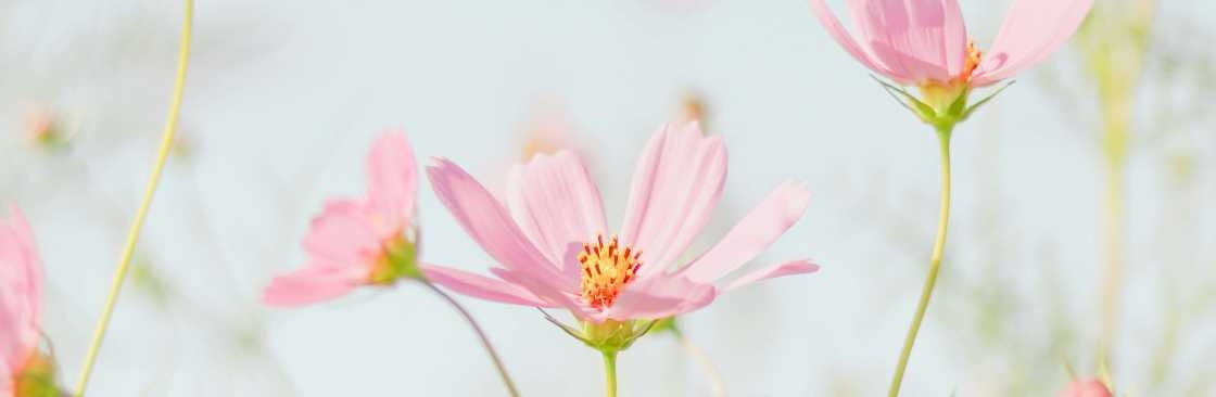 Alicia Franklyn Cover Image