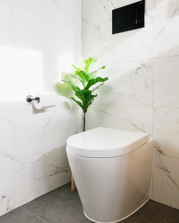 Back‑to‑Wall Toilets: Sleek, Smart and Space‑Saving Bathroom Solutions | Available Online