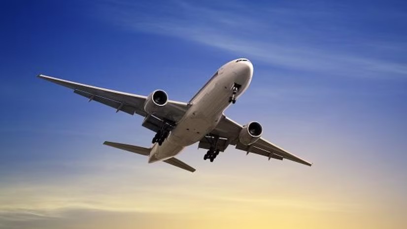 politi caero Profile Picture