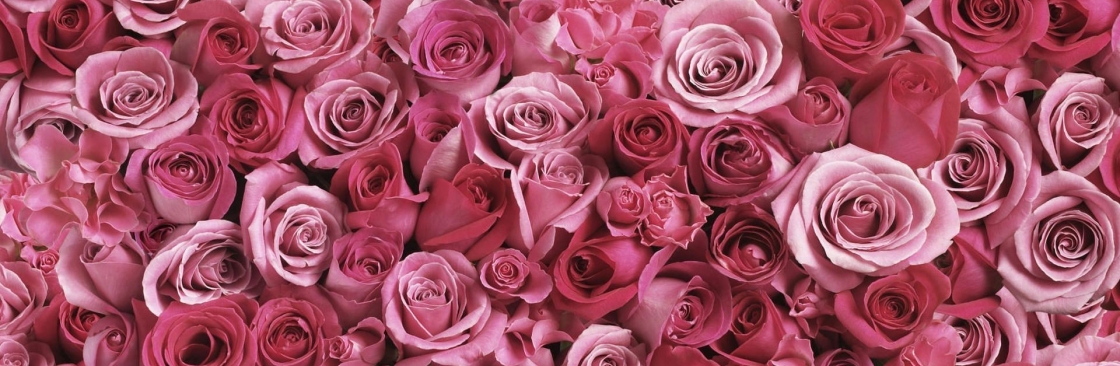 Claudia Perrier Cover Image