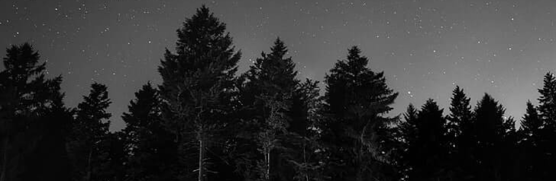 Ethan McAllister Cover Image