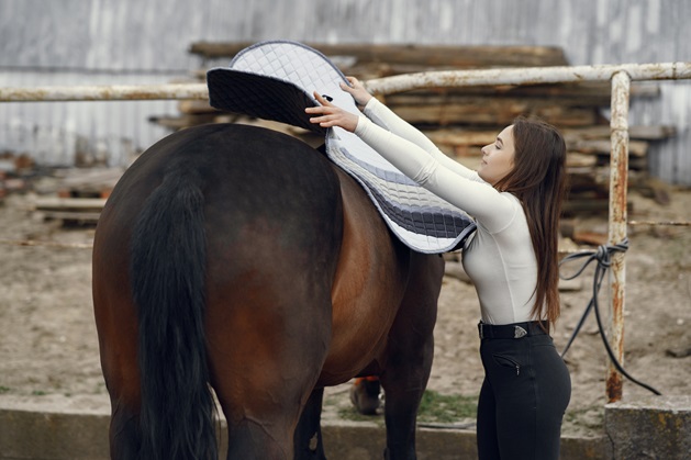 Adequate Protection for Horses: Essentials Every Owner Should Know - Our Tips For