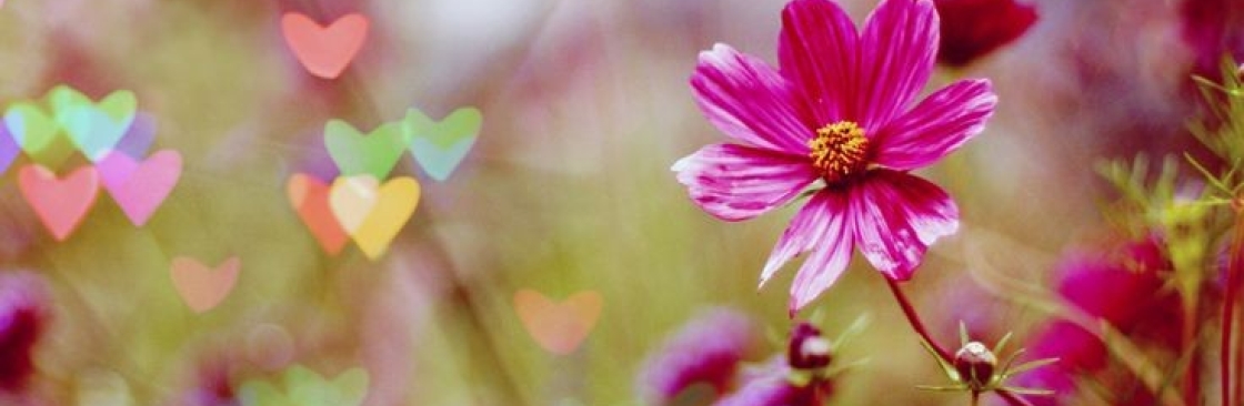 Zara Crompton Cover Image