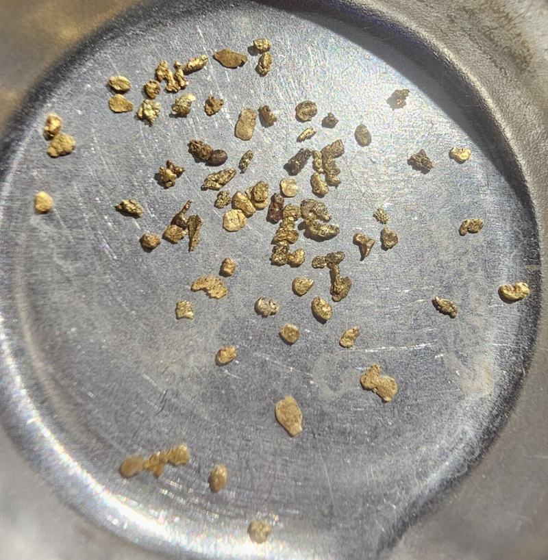 Treasure Awaits: How the Right Prospector Supplies Make All the Difference | Blue Koala