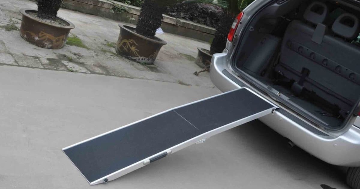 Dog Ramps: Handy Tools that Make Your Pet's Life Easier