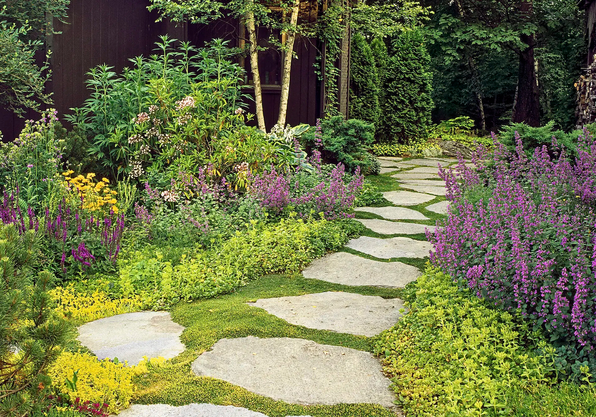 From Bare Soil to Bloom: A Buyer’s Guide to Groundcovers – A Bit of Everything