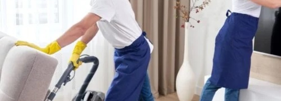 Aka Cleaning Af Cover Image