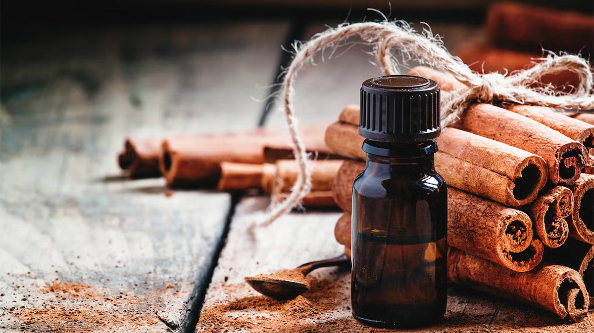 Cinnamon Leaf Essential Oil: Benefits, Uses, and Safety Guide | Coffee & Content