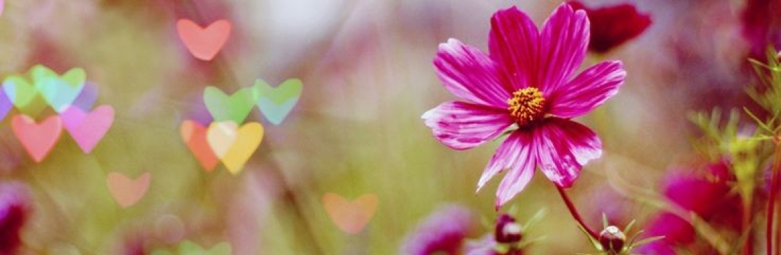 Paige Trenerry Cover Image