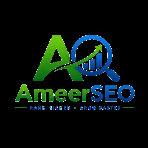 Ameer SEO Profile Picture