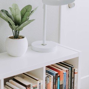 Home - Blog