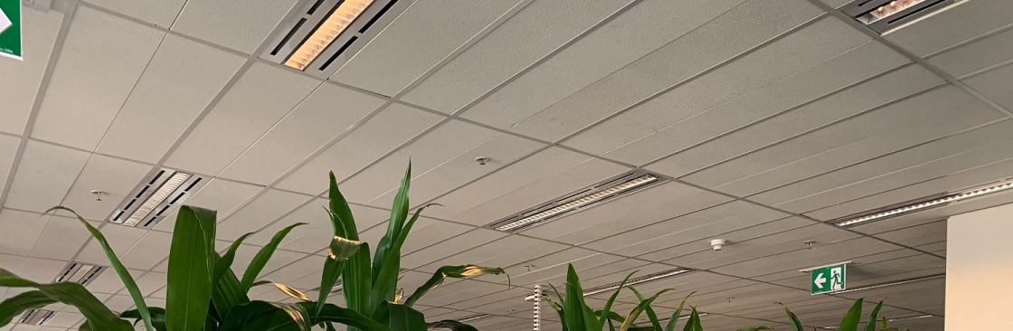 Foliage Indoor Plant Hire Cover Image