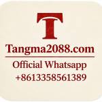 qiqiygwholesale qiqiygwholesale Profile Picture