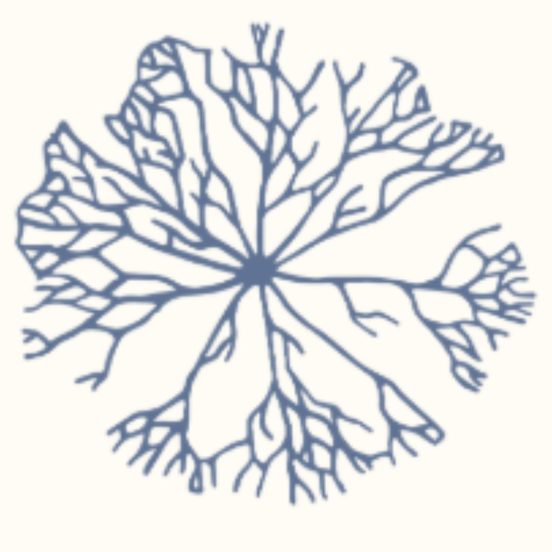 heilwesen Profile Picture