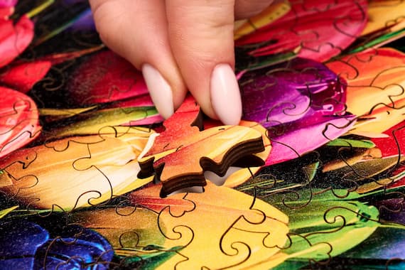 Jigsaw Puzzles: A Simple Habit with Big Mental Benefits - Every Single Topic