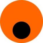 Bindi profile picture