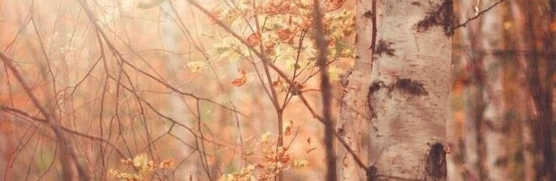Beatrice Johnson Cover Image