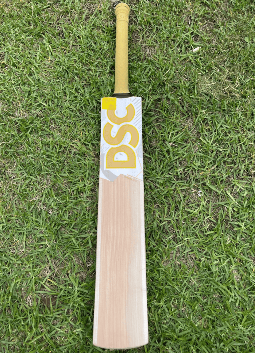 How to Choose the Right Senior Cricket Bat – Life Essentials
